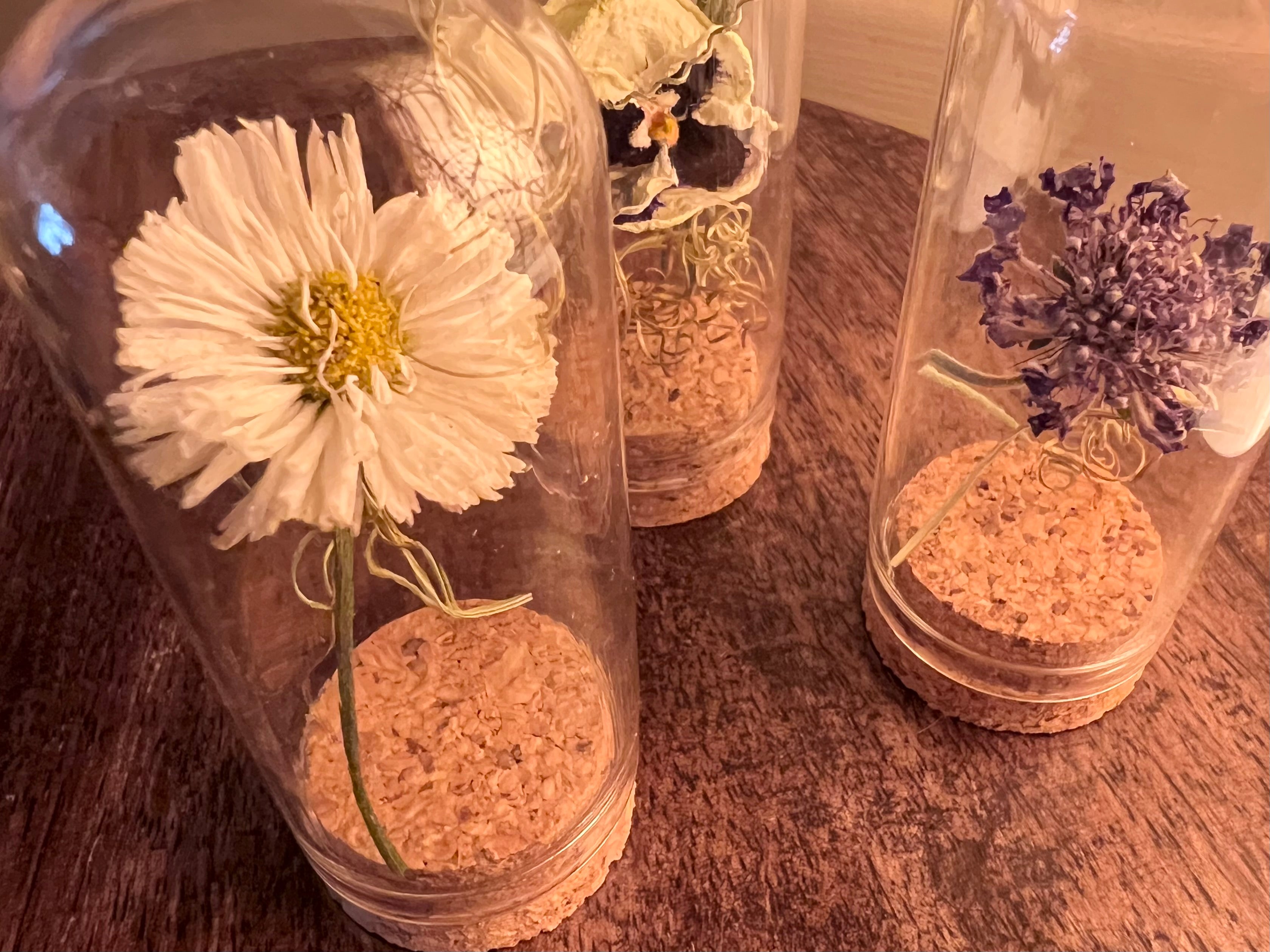 Dried Botanicals