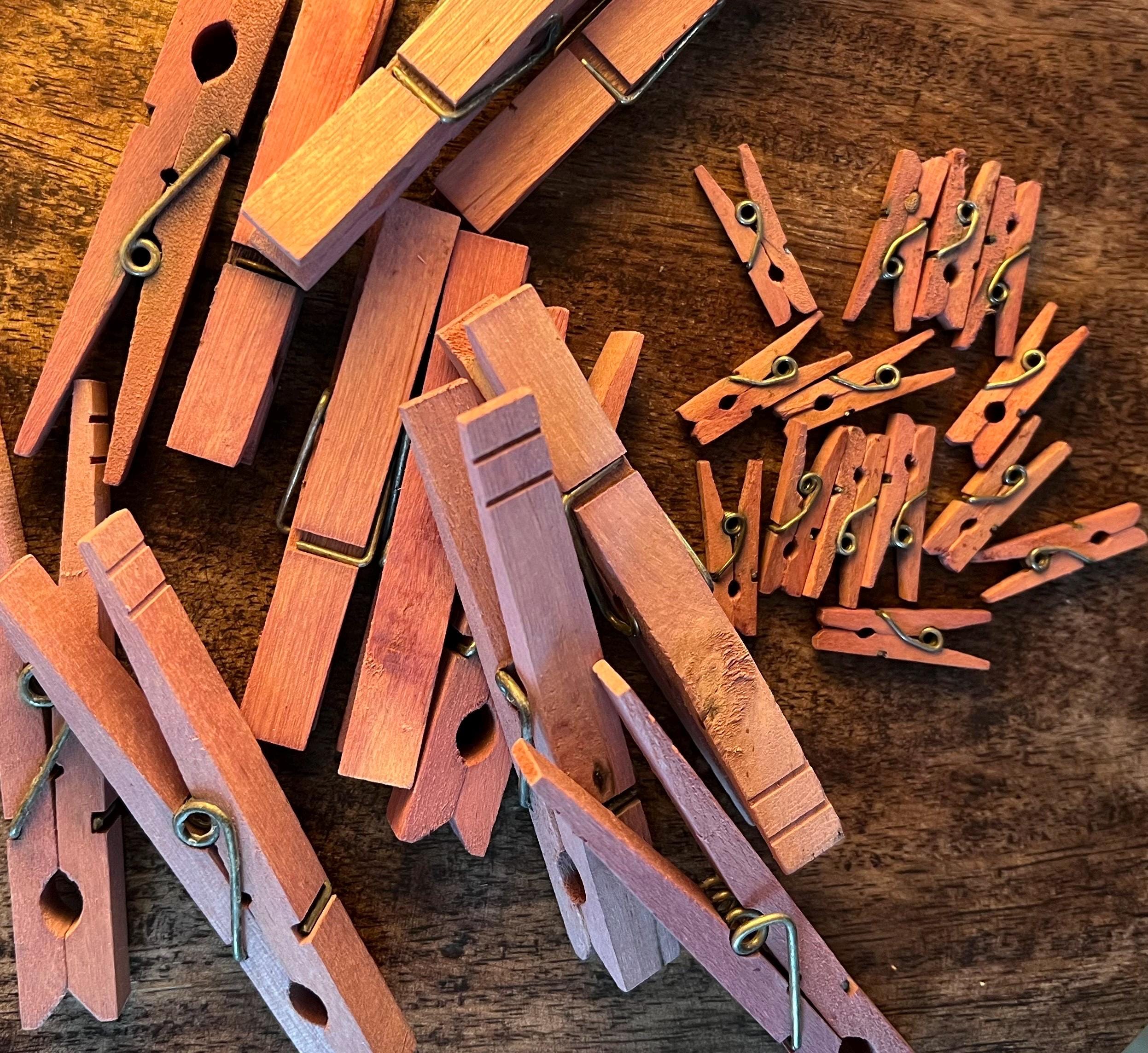 BlackBerry Stained Wood Clips, Herb Drying, Set of 10