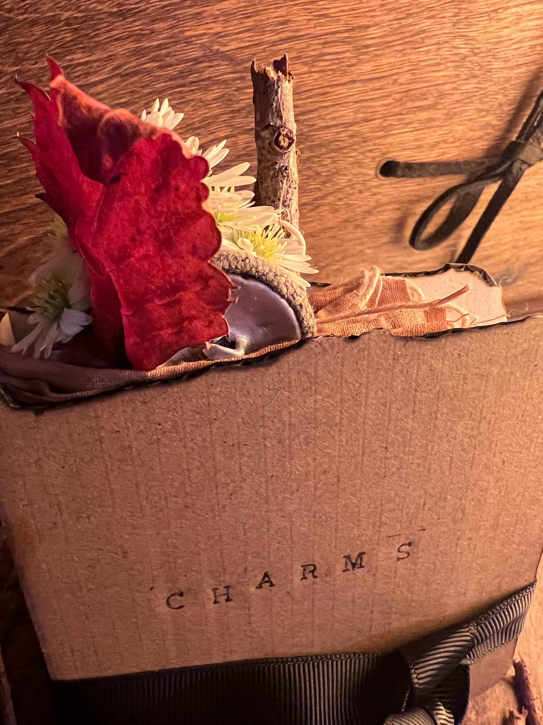 Charm Book, Foraging and Spell Charms, OLC Original Witch’s Charm Keeper, Inspired by the Snow Moon