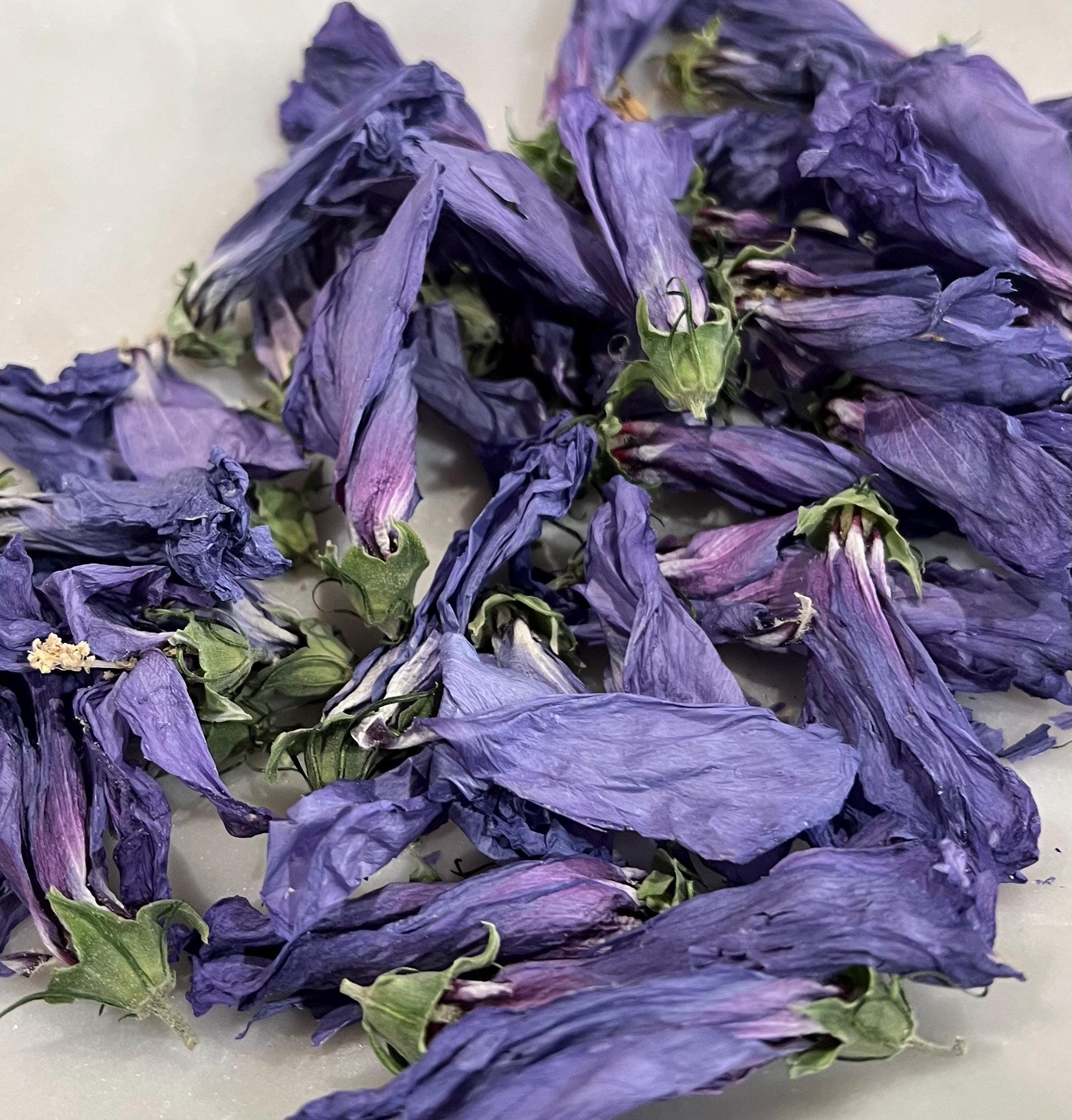Dried Flower Purple Rose of Sharon, Dried Organic Heirloom Herb for Witchcraft, Beauty and Boundaries, 3 grams, Self Love, Renewal