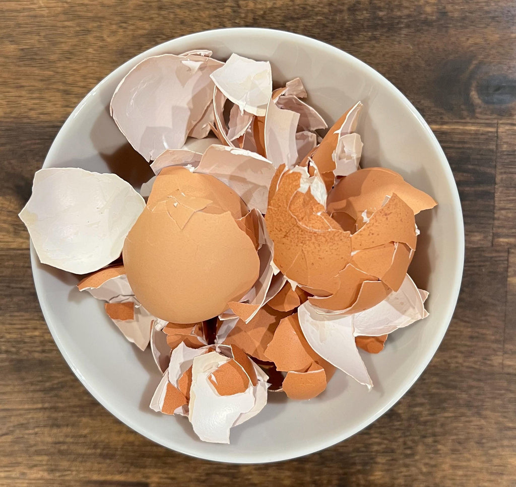 Organic Baked Eggshells, Witch’s Curio for Protection and Powder Crafting, Sample Pack, Spellwork