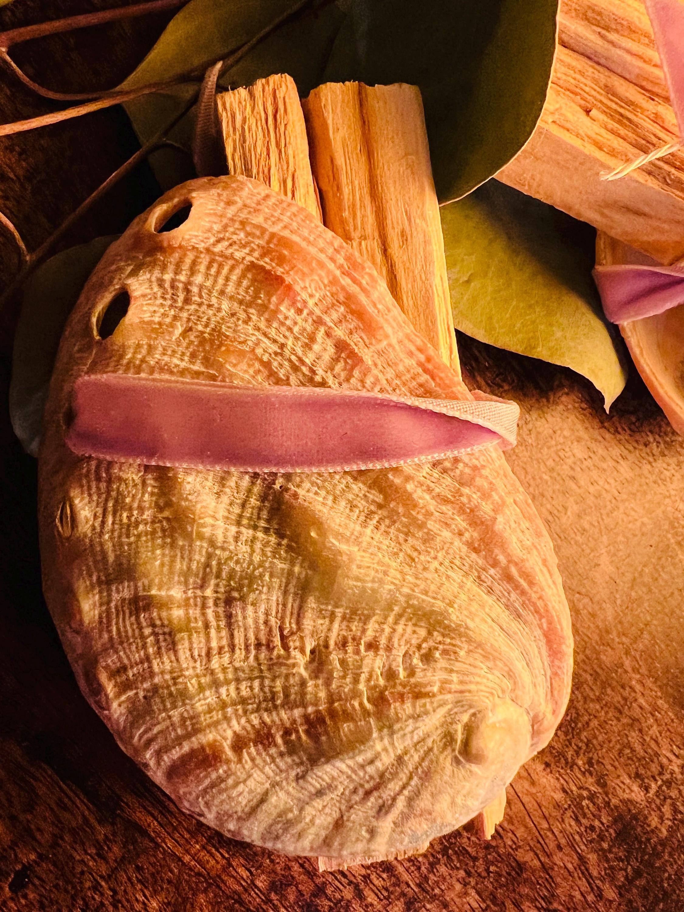 Abalone Shell & Palo Santo Sticks, Cottage Home Fragrance Set, Natural Wood Aroma, Witchy Decor, Altar Bowl