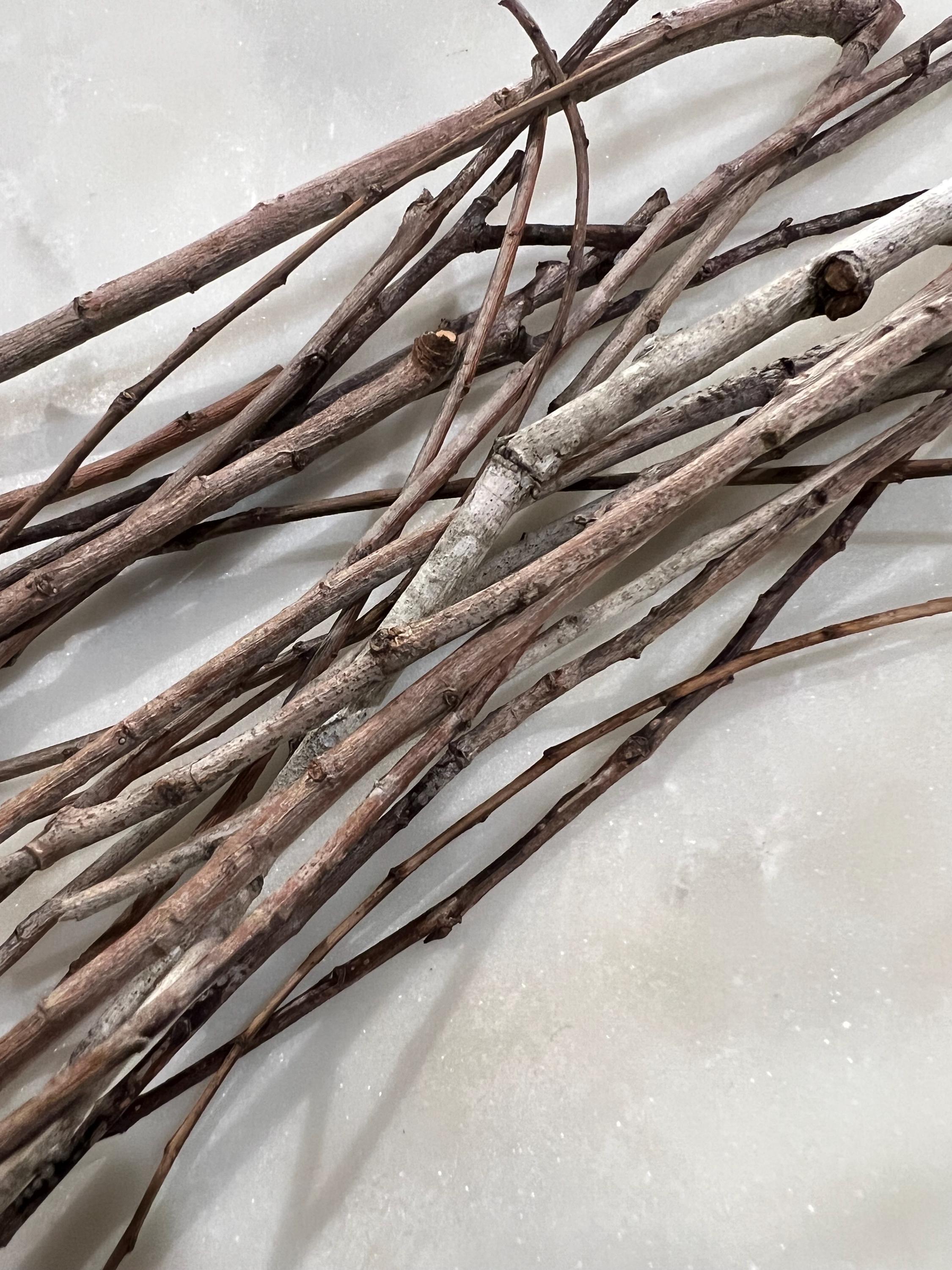 Wisps of Willow, Fallen Winter Willow Twigs, For Ritual, Divination and Threshold Magic