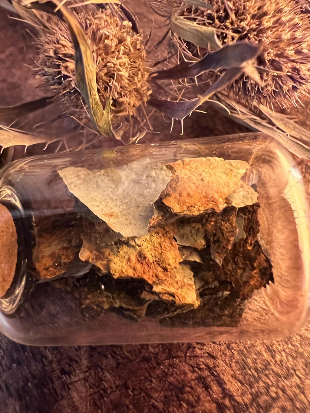 Rust Relic Vial, Garden Iron Oxide Curio, Death Witchcraft Bottle, Threshold Magic Piece