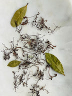Whispering Tendrils – Tiny Twining Vine Curios | Wispy Botanical Relics for Altar, Spellwork & Craft