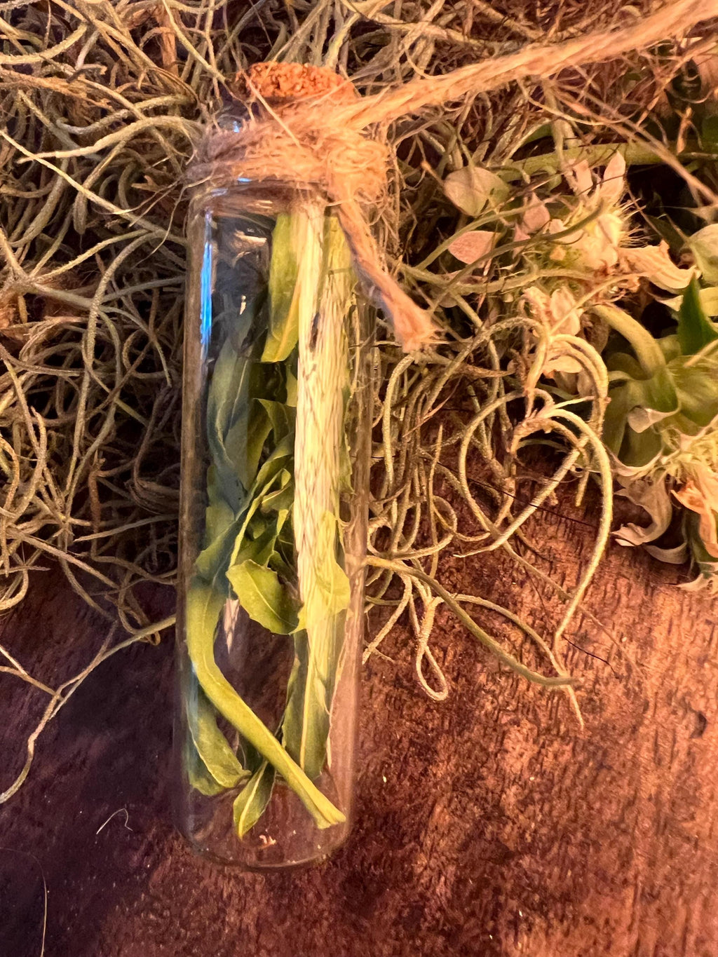 Willow Whisper Vial Dried Willow Leaves in Glass Vial Foraged Witch Herb Charm Protection Grief Release Liminal Magic