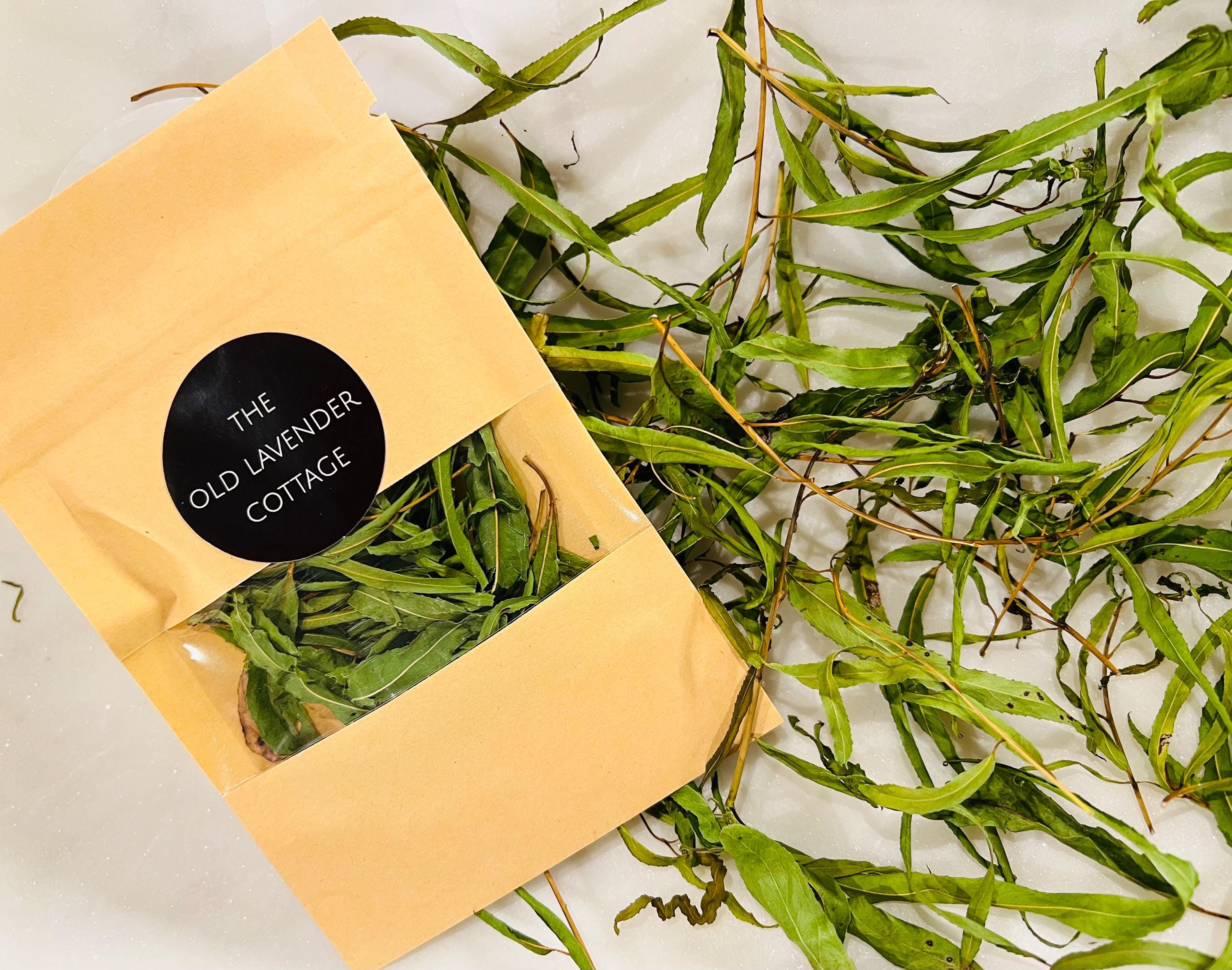Weeping Willow Dried Foraged Herb for Grief, Release and Reflection Mystic Botanical Offering