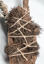 Up in the Trees – Living Altar Piece, Quartz Crystal, Cypress Bark, Lichen, Gourd Curio, Sculpture