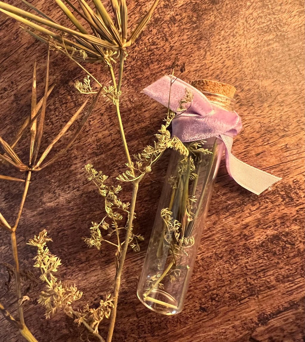 Venus Comb Curio Vial, Self Love, Dried Botanical Spell Jar, Gentle Attraction Charm, Foraged Herb Specimen, Witchcraft Altar Supply