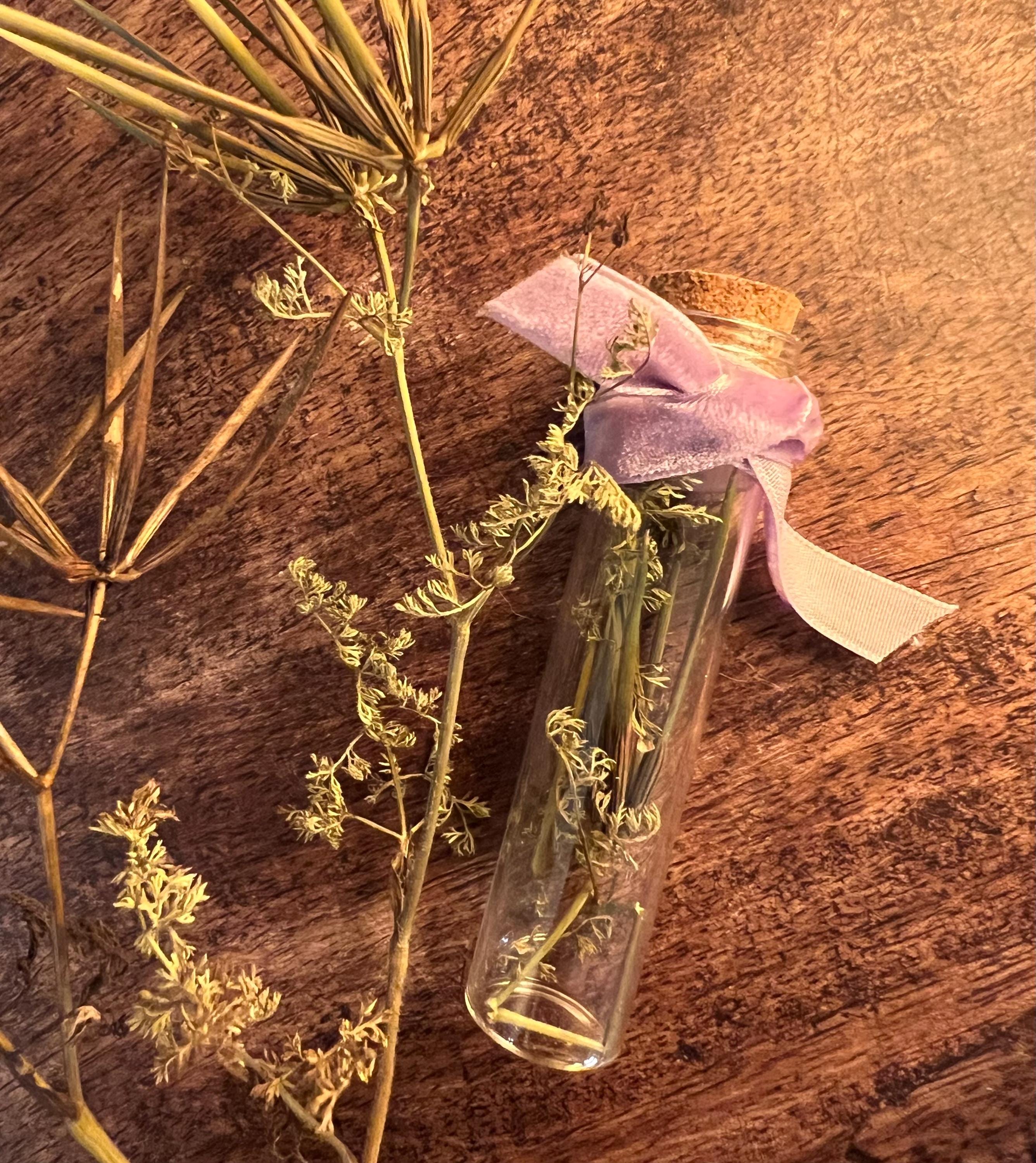 Venus Comb Curio Vial, Self Love, Dried Botanical Spell Jar, Gentle Attraction Charm, Foraged Herb Specimen, Witchcraft Altar Supply