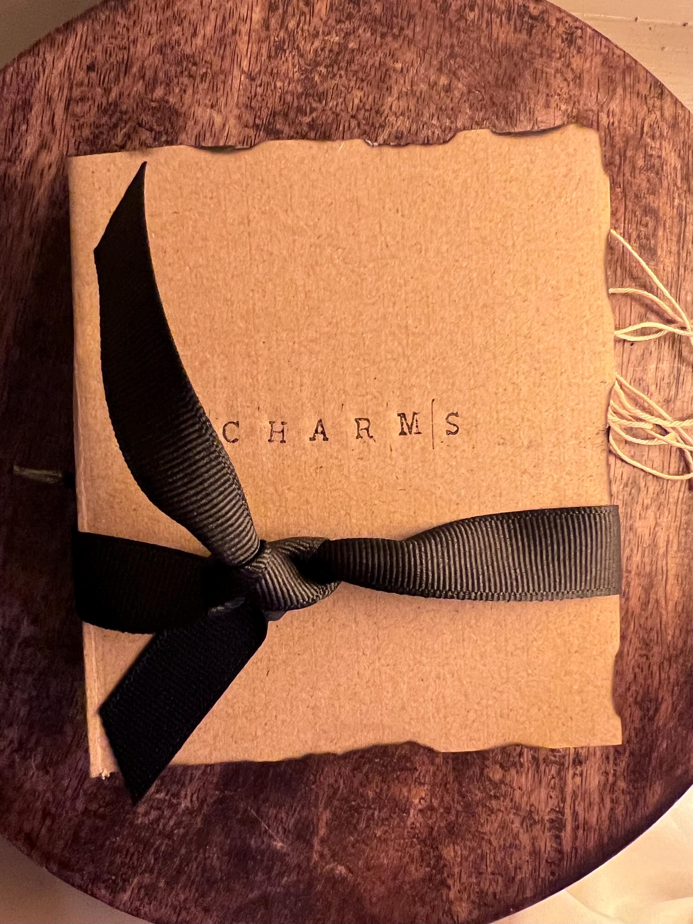 Charm Book, Foraging and Spell Charms, OLC Original Witch’s Charm Keeper, Inspired by the Snow Moon