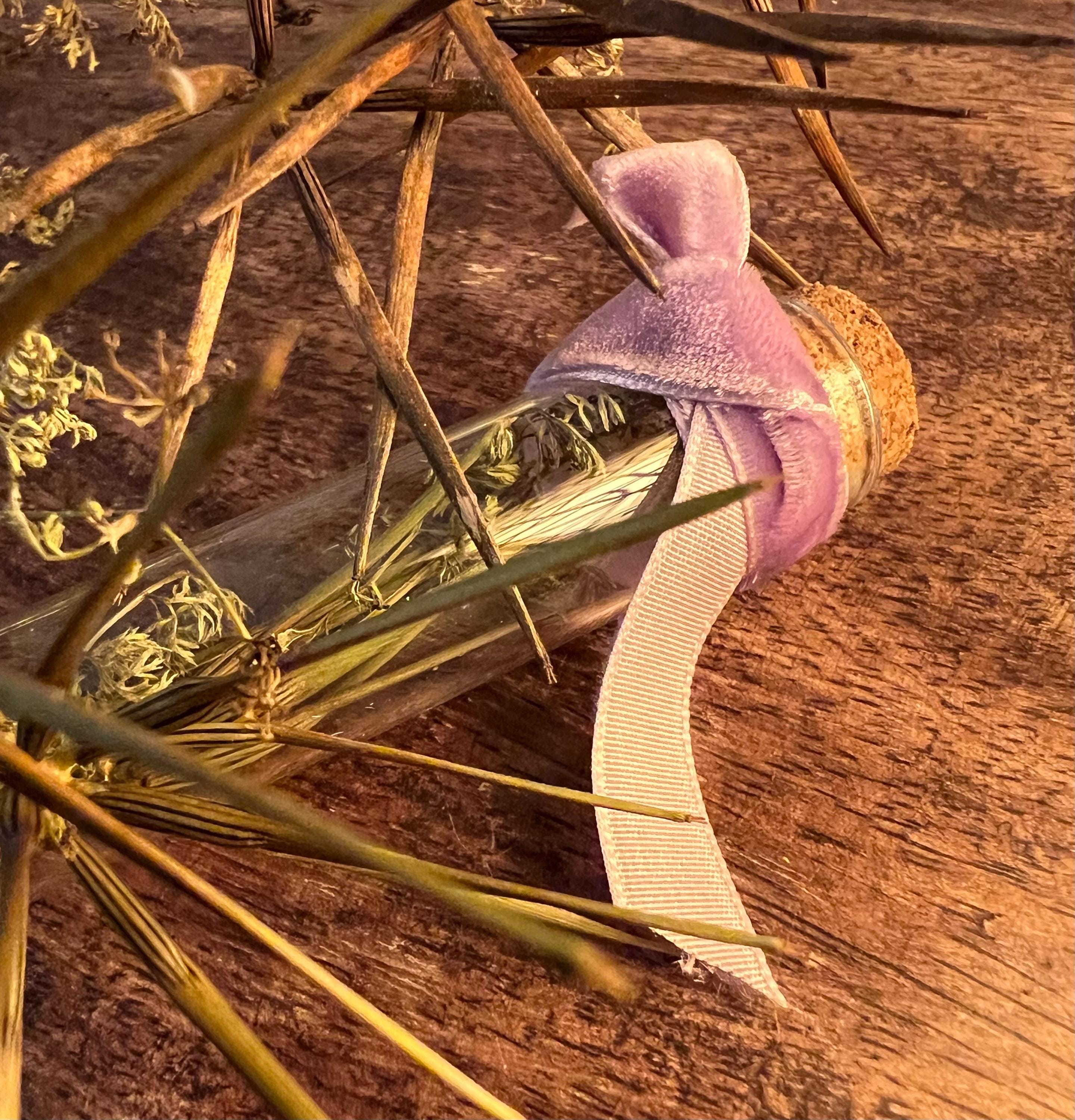 Venus Comb Curio Vial, Self Love, Dried Botanical Spell Jar, Gentle Attraction Charm, Foraged Herb Specimen, Witchcraft Altar Supply