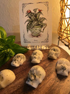 Beeswax Skull Melts with Basil, Witchy Charms, Set of 3 or 7