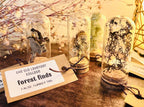 Forest Finds, Glass Cloche Curio, Foraged Woodland Specimen Display, Oddity