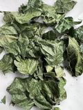 Jasmine Leaves, Organic, Handpicked and Dried, Cottage Grown, Ritual and Cottage Magic, Partially Crushed for Love and Heart Magick, 1 gram