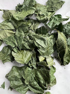 Jasmine Leaves, Organic, Handpicked and Dried, Cottage Grown, Ritual and Cottage Magic, Partially Crushed for Love and Heart Magick, 1 gram