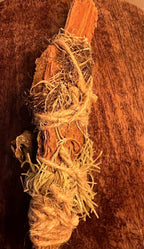 Delight, Primitive Forest Talisman, Cypress Bark, Wood Ear Mushroom and Aura Quartz, Altar Piece, Sculpture, Living Art