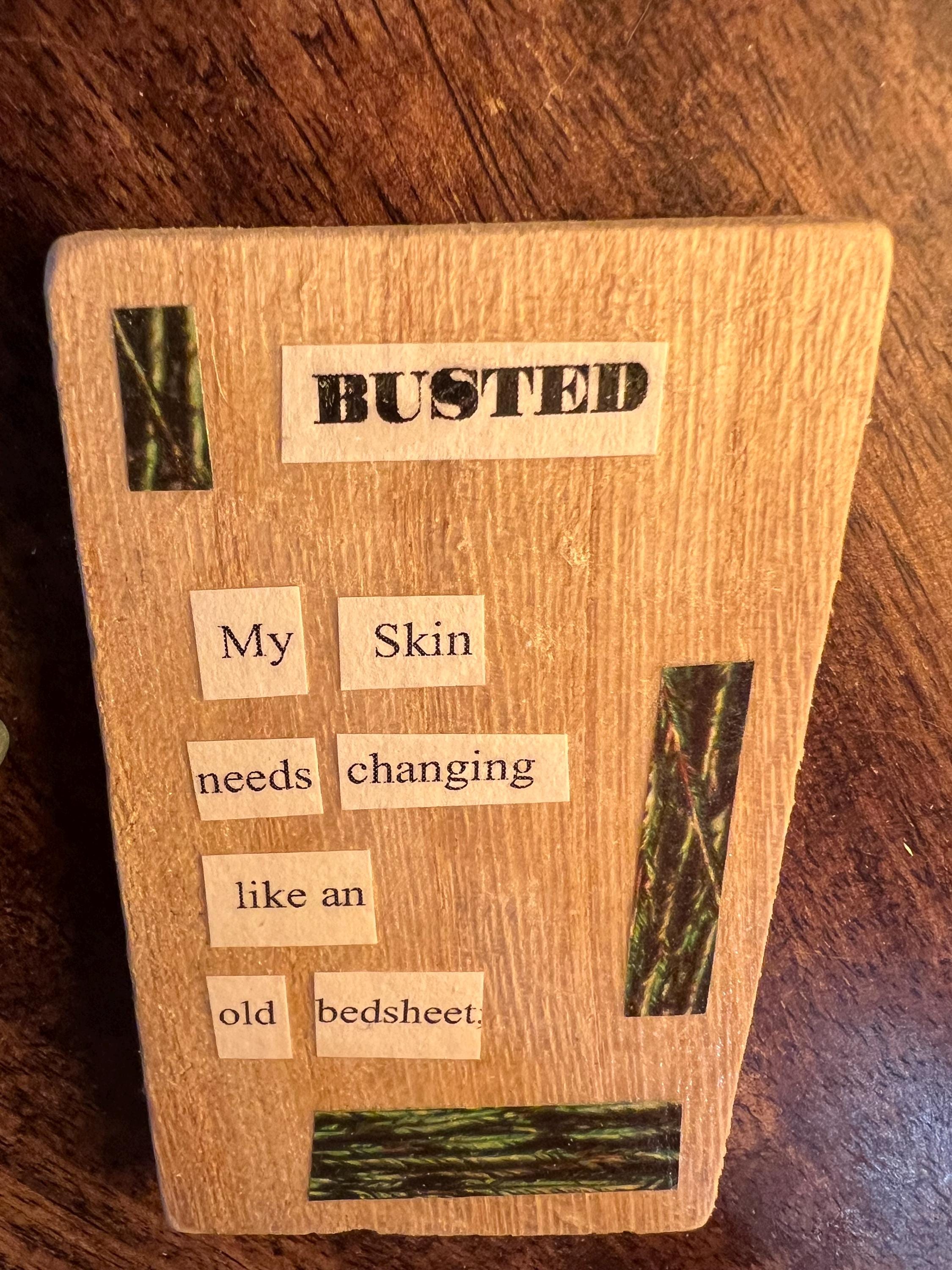 Busted, poetry art, reclaimed wood, made by the witch at OLC