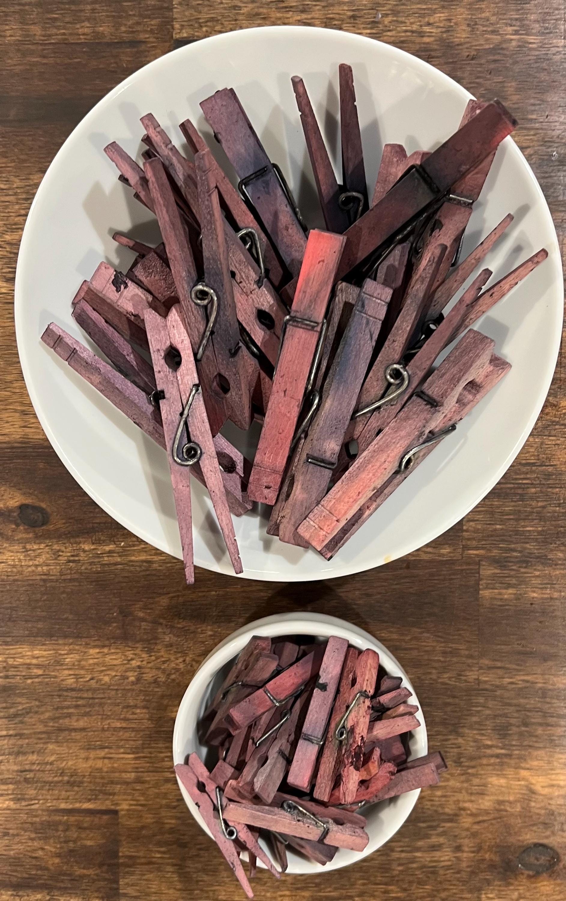 BlackBerry Stained Wood Clips, Herb Drying, Set of 10