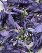 Dried Flower Purple Rose of Sharon, Dried Organic Heirloom Herb for Witchcraft, Beauty and Boundaries, 3 grams, Self Love, Renewal