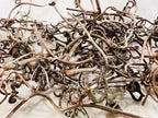 Grapevine tendrils, wild, foraged on demand, approx 10 tendrils