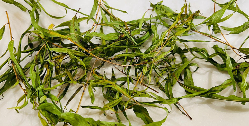 Weeping Willow Dried Foraged Herb for Grief, Release and Reflection Mystic Botanical Offering