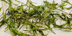 Weeping Willow Dried Foraged Herb for Grief, Release and Reflection Mystic Botanical Offering