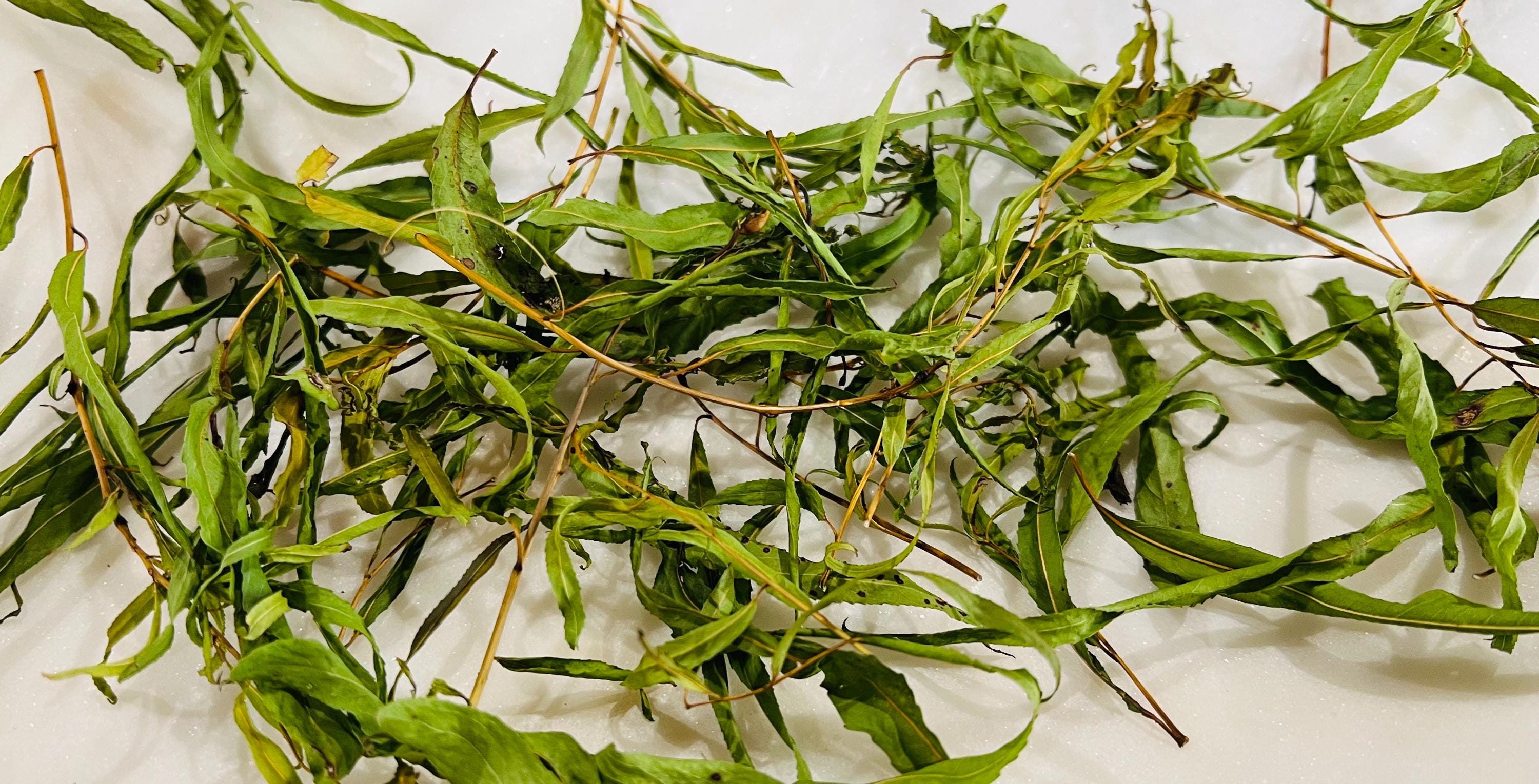 Weeping Willow Dried Foraged Herb for Grief, Release and Reflection Mystic Botanical Offering