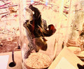 Forest Finds, Glass Cloche Curio, Foraged Woodland Specimen Display, Oddity