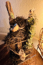 Up in the Trees – Living Altar Piece, Quartz Crystal, Cypress Bark, Lichen, Gourd Curio, Sculpture