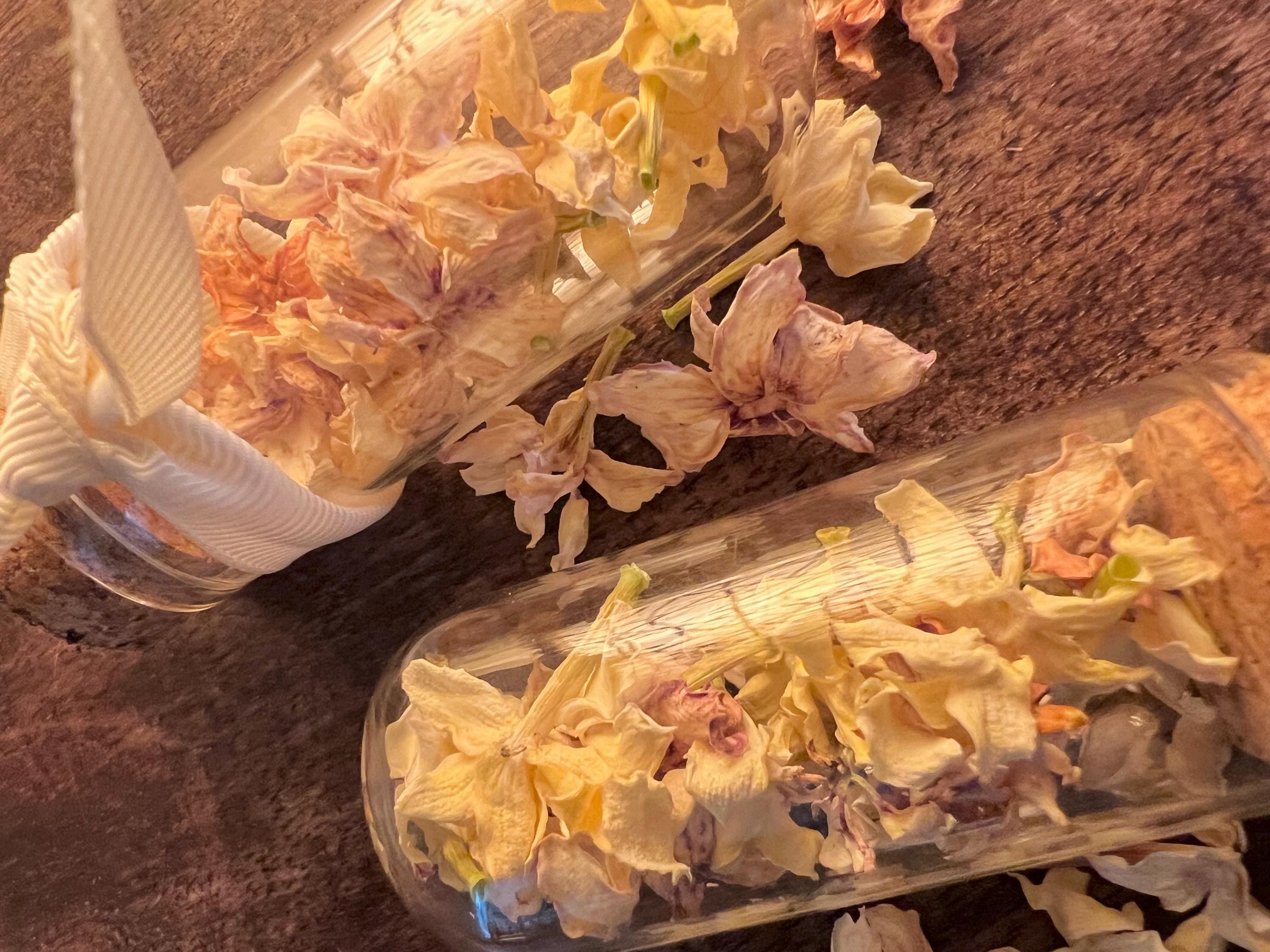 Dried Jasmine for Spellwork, Night Blooming Jasmine, Witch-Grown Dried Flowers for Spellwork, Dream Magic and Love Curio