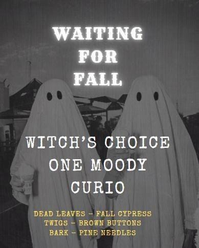 Waiting for Fall, One Witch’s Choice Moody Curio, surprise stash