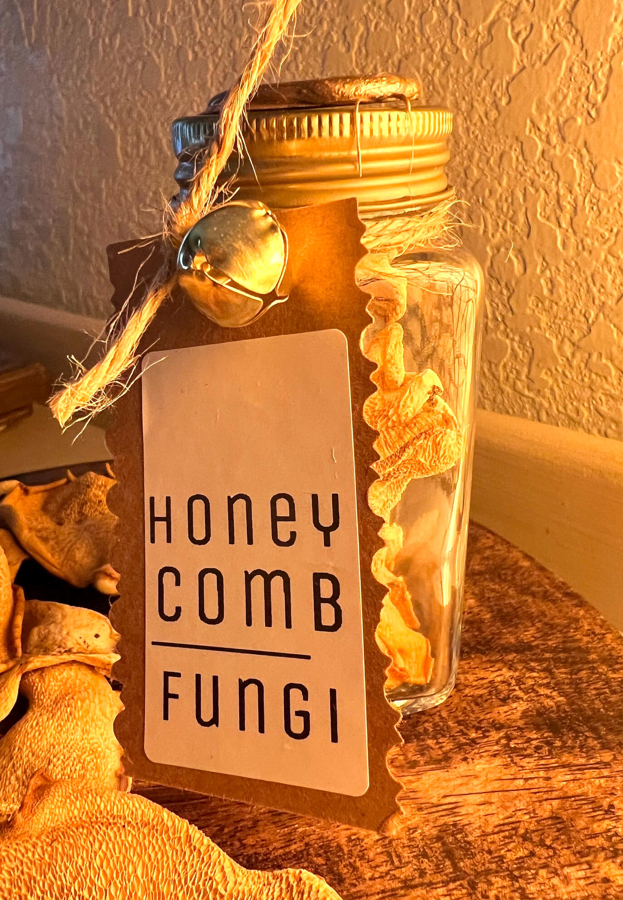 Honeycomb Fungi Protection Curio, Favolus brasiliensis Jar, Renewal and Forest Witchcraft Specimen, Foraged Mushroom Altar Curio