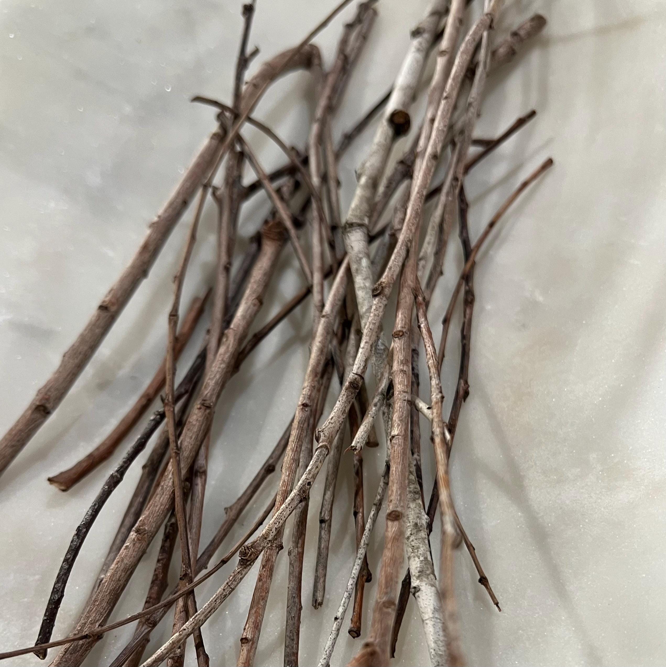 Wisps of Willow, Fallen Winter Willow Twigs, For Ritual, Divination and Threshold Magic