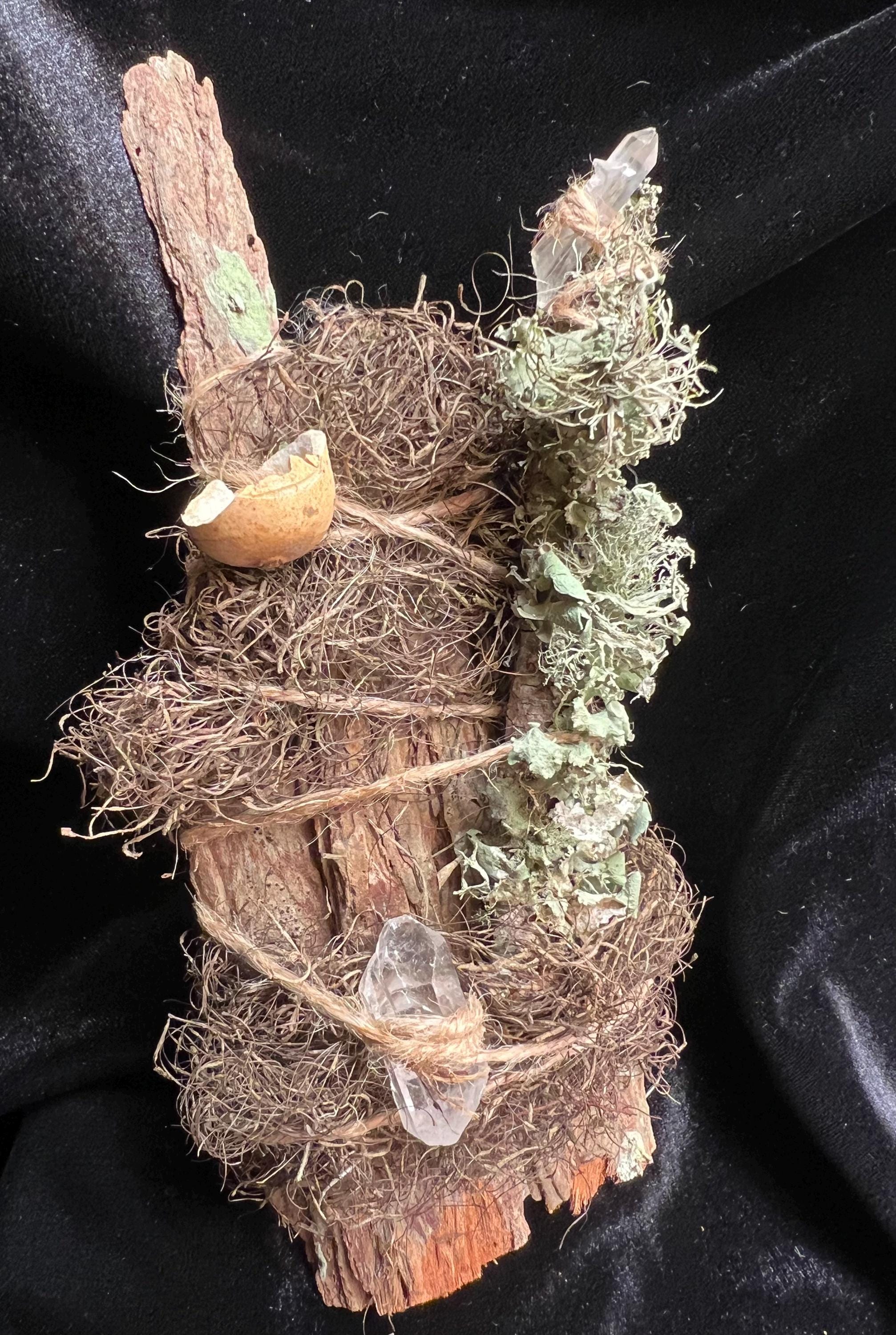 Up in the Trees – Living Altar Piece, Quartz Crystal, Cypress Bark, Lichen, Gourd Curio, Sculpture