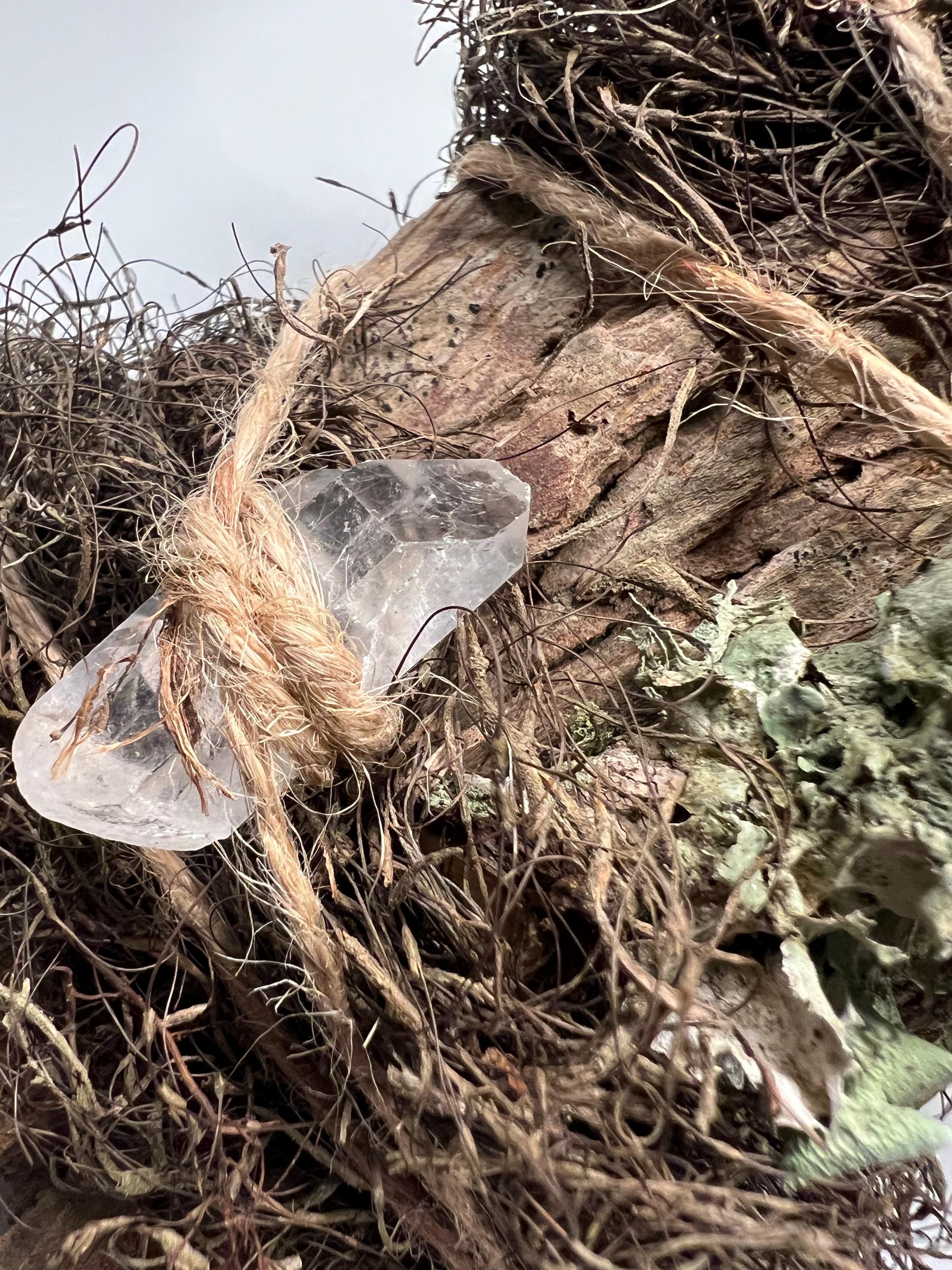 Up in the Trees – Living Altar Piece, Quartz Crystal, Cypress Bark, Lichen, Gourd Curio, Sculpture