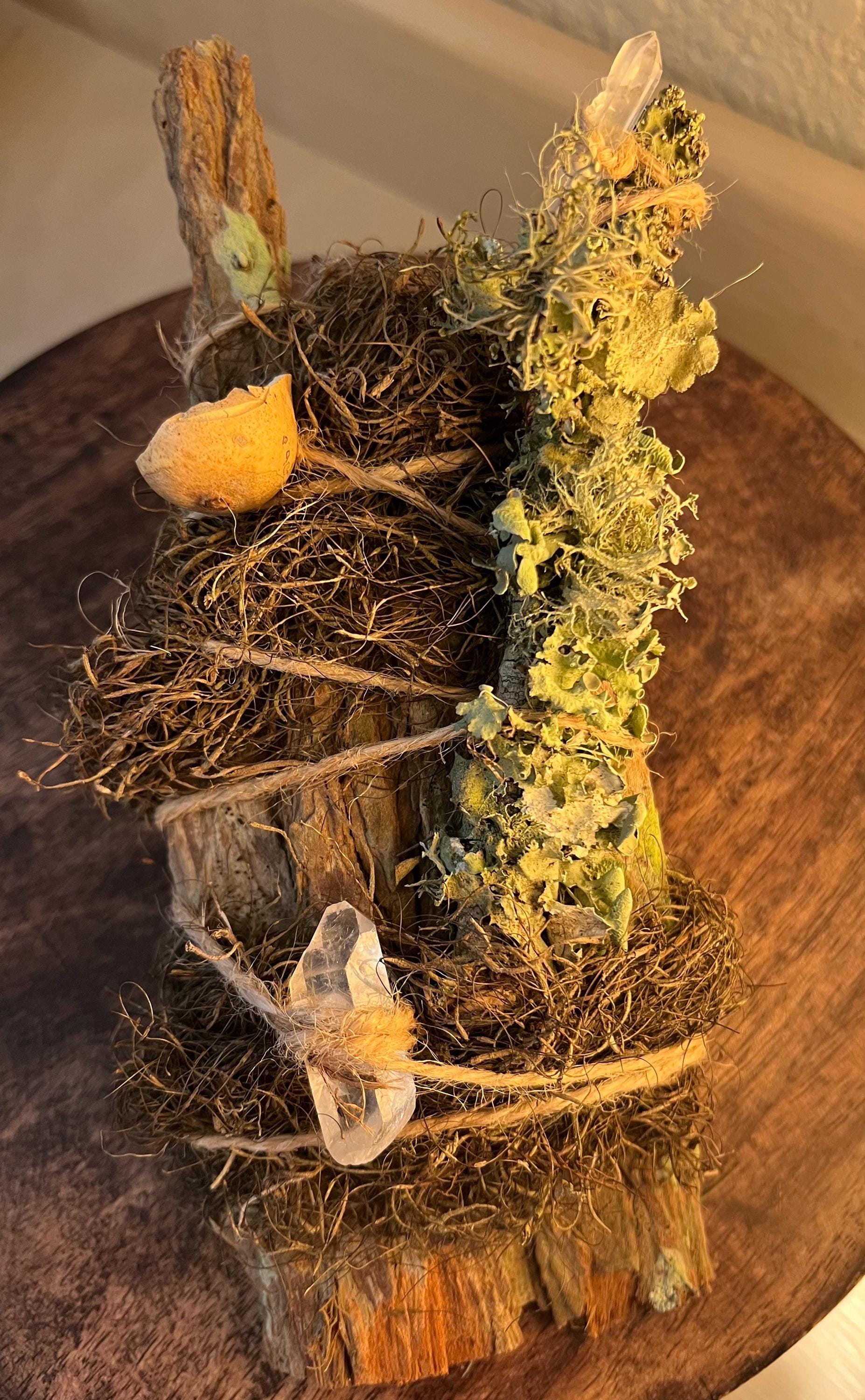 Up in the Trees – Living Altar Piece, Quartz Crystal, Cypress Bark, Lichen, Gourd Curio, Sculpture