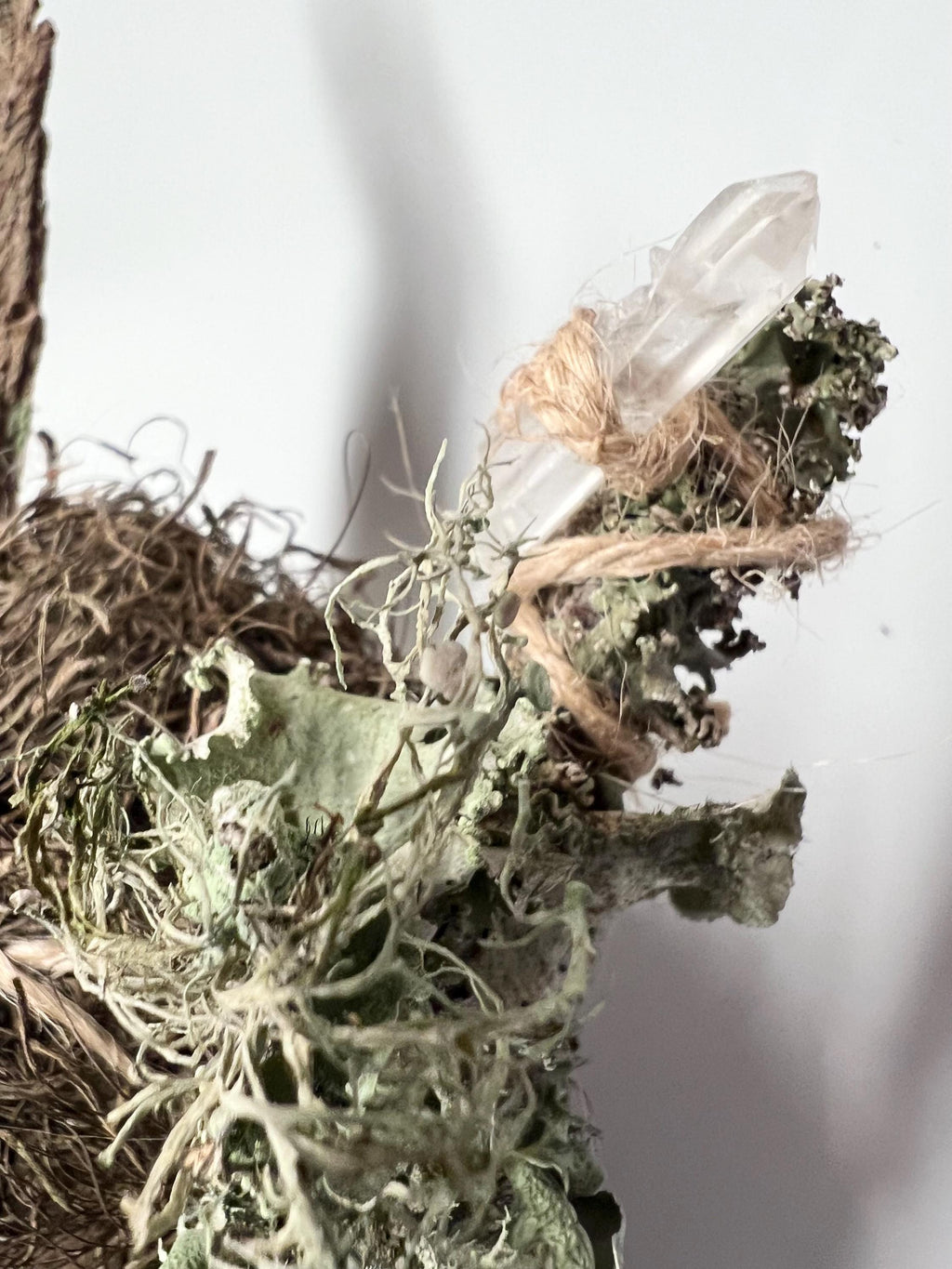 Up in the Trees – Living Altar Piece, Quartz Crystal, Cypress Bark, Lichen, Gourd Curio, Sculpture