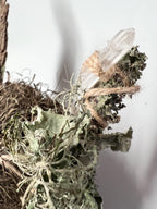 Up in the Trees – Living Altar Piece, Quartz Crystal, Cypress Bark, Lichen, Gourd Curio, Sculpture