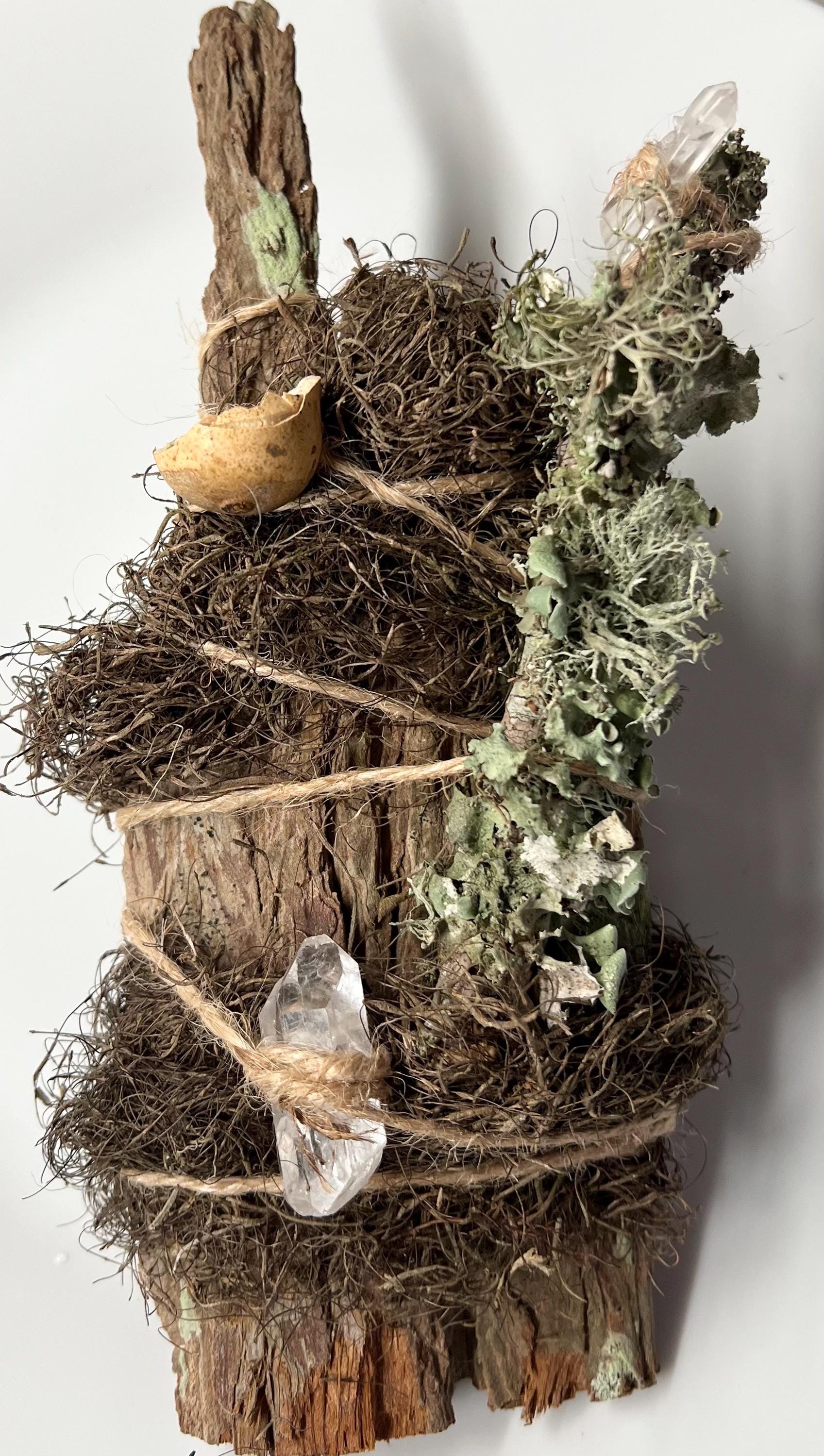Up in the Trees – Living Altar Piece, Quartz Crystal, Cypress Bark, Lichen, Gourd Curio, Sculpture