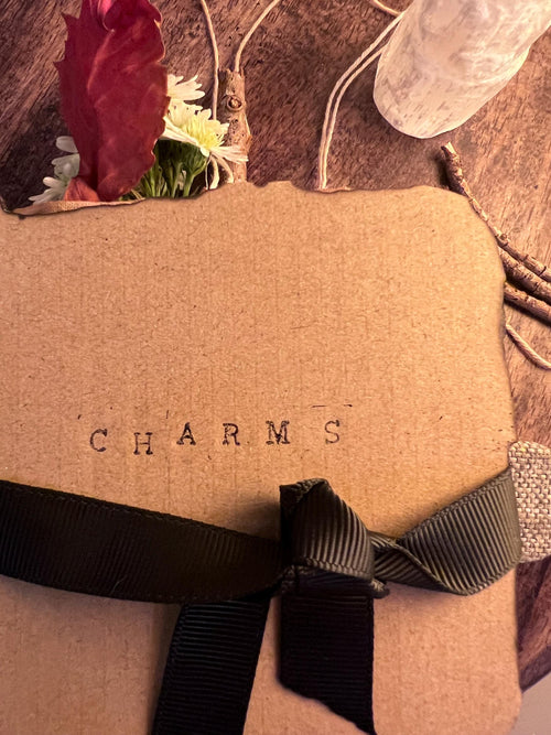 Charm Book, Foraging and Spell Charms, OLC Original Witch’s Charm Keeper, Inspired by the Snow Moon