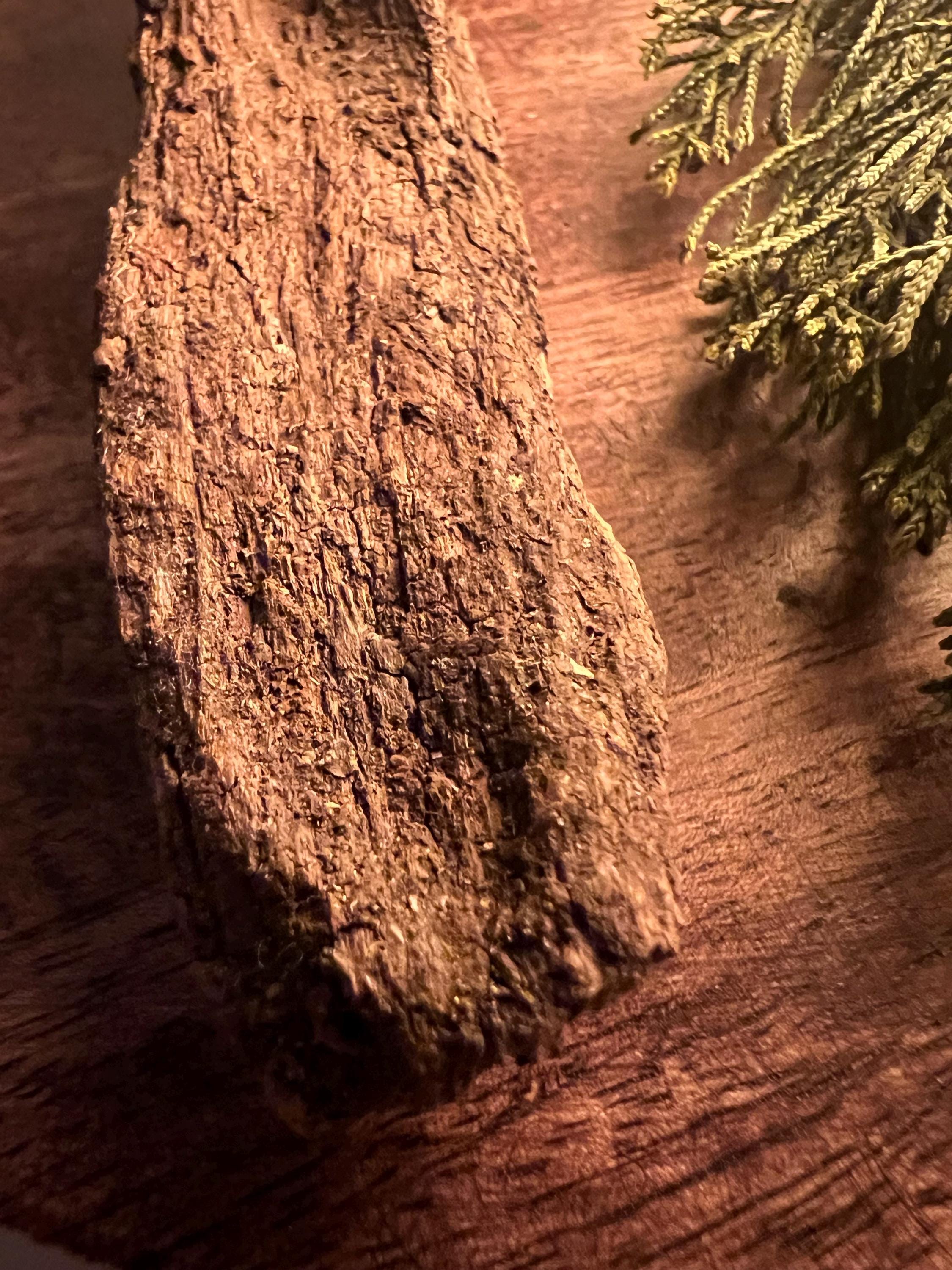 Curved Wood Wand Quartz Crystal Wand Copper Wrapped Wand Foraged Wood Ritual Tool Handmade Witch Wand