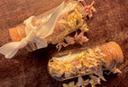 Dried Jasmine for Spellwork, Night Blooming Jasmine, Witch-Grown Dried Flowers for Spellwork, Dream Magic and Love Curio