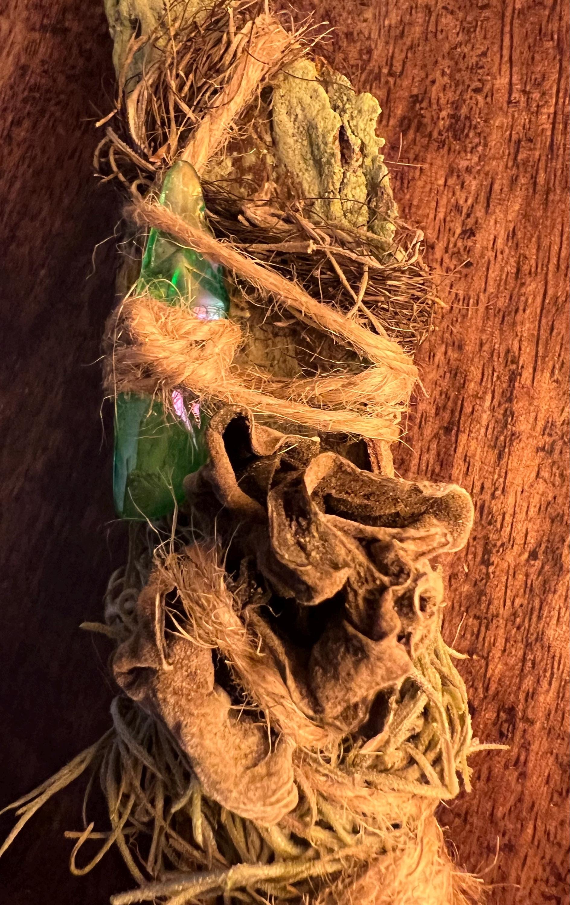 Delight, Primitive Forest Talisman, Cypress Bark, Wood Ear Mushroom and Aura Quartz, Altar Piece, Sculpture, Living Art