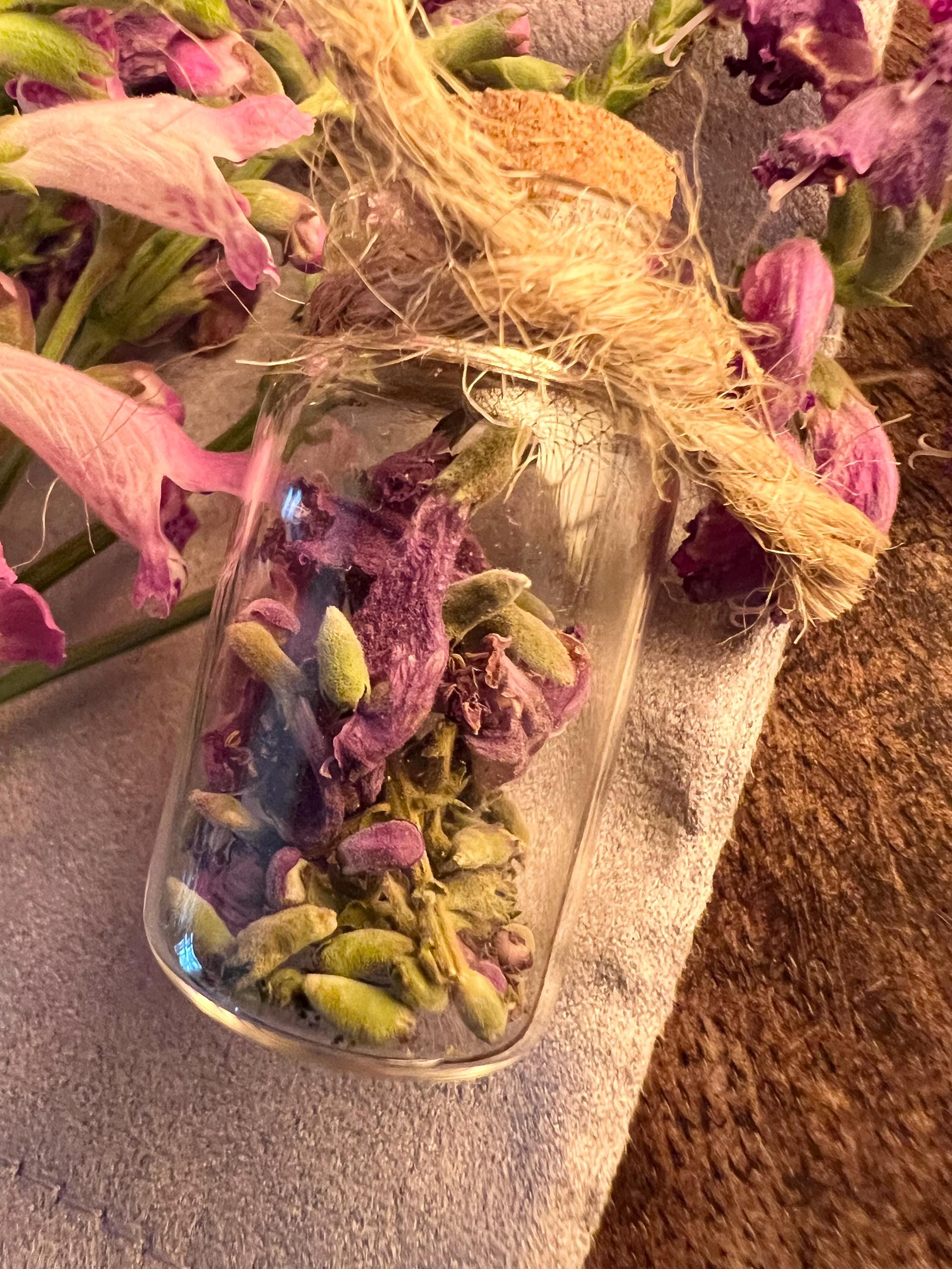 Obedient Flower Spell Vial, Wild Texas Flower, Obedience & Influence, Witchcraft Herb Vial, Charm Work, Cottage Witch Supply