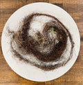 Horsehair Lichen, Foraged Woodland Thread, Primitive Curio for Spellcraft, Altars and Sacred Making