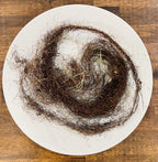Horsehair Lichen, Foraged Woodland Thread, Primitive Curio for Spellcraft, Altars and Sacred Making