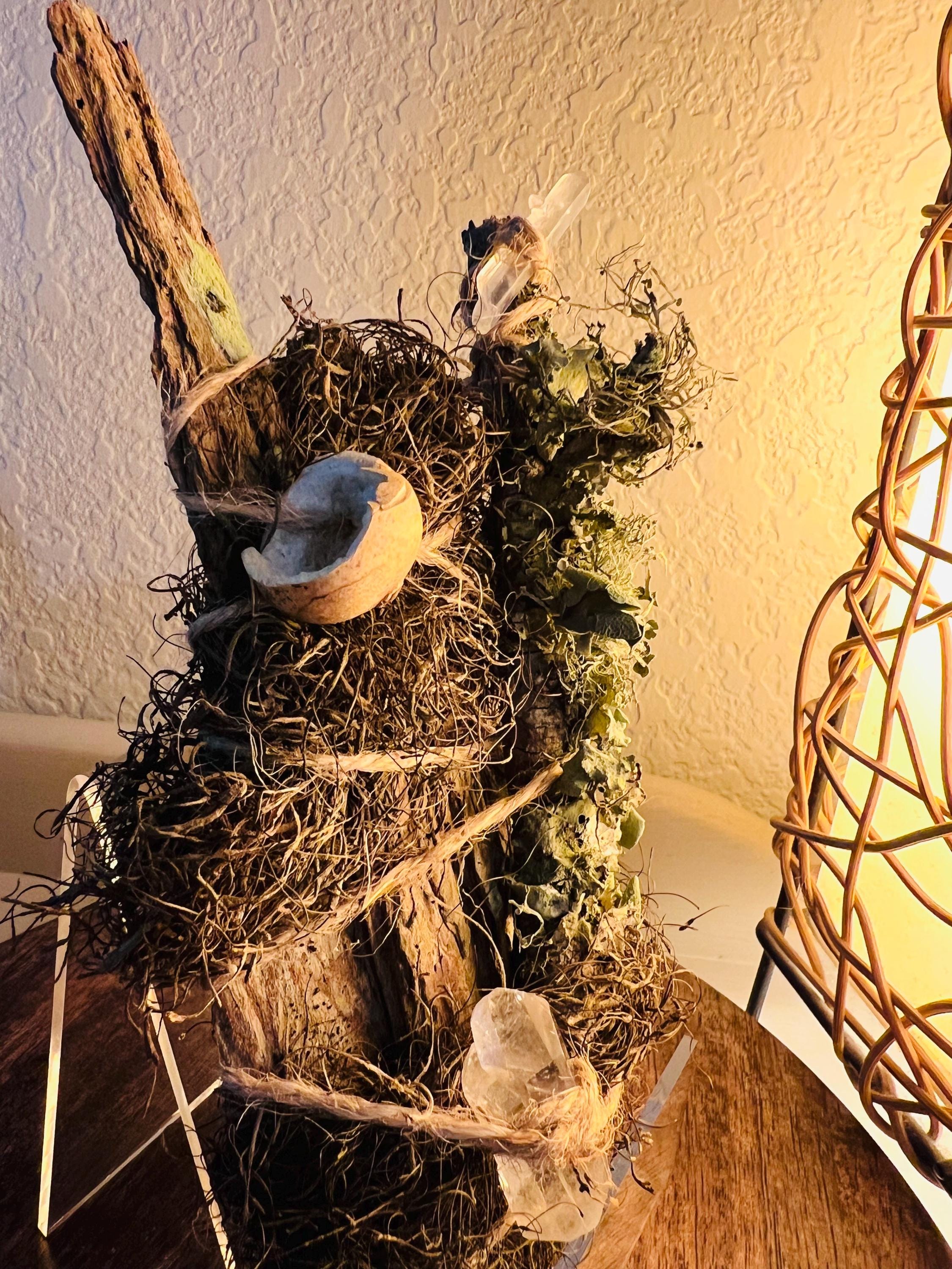 Up in the Trees – Living Altar Piece, Quartz Crystal, Cypress Bark, Lichen, Gourd Curio, Sculpture