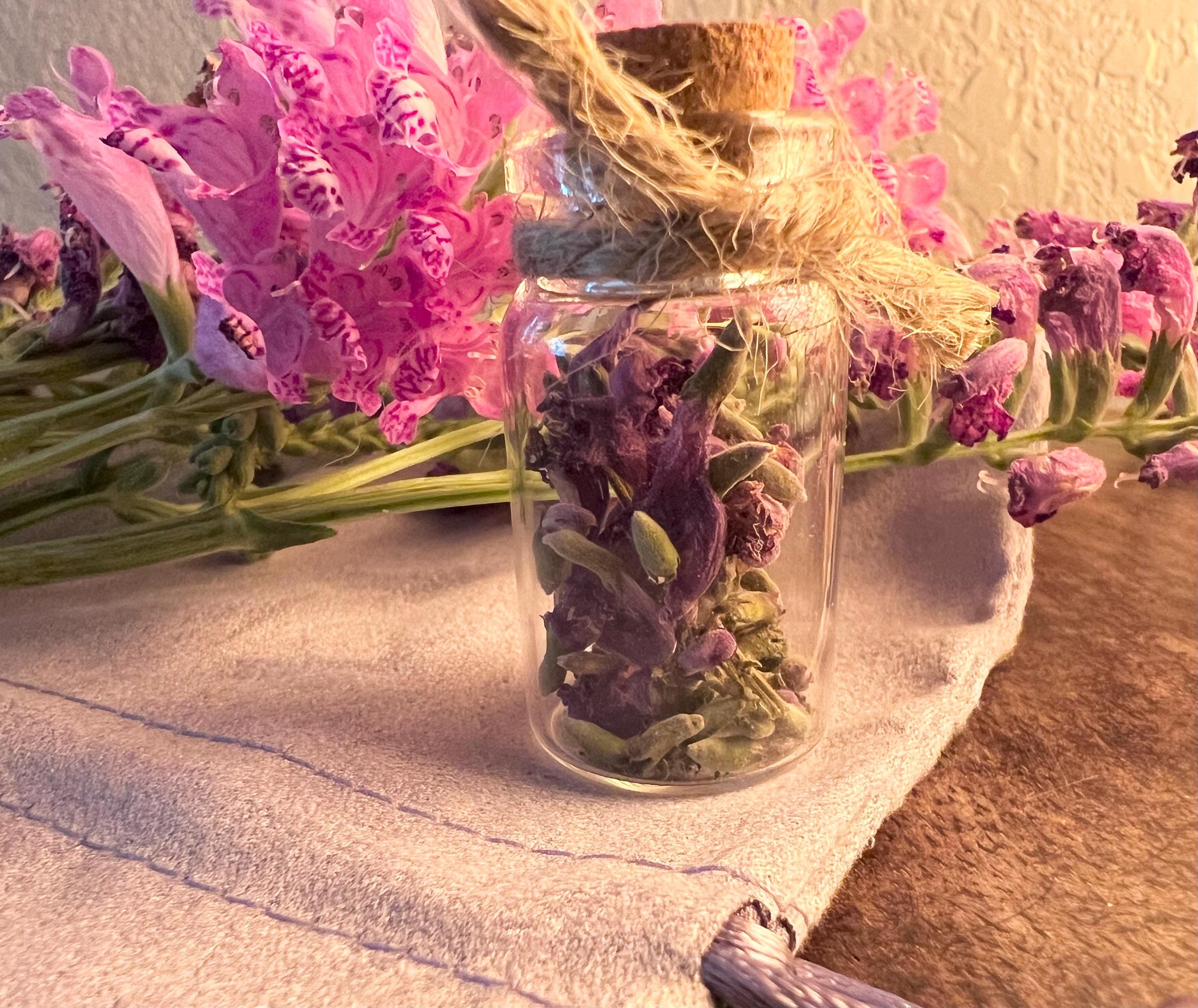 Obedient Flower Spell Vial, Wild Texas Flower, Obedience & Influence, Witchcraft Herb Vial, Charm Work, Cottage Witch Supply