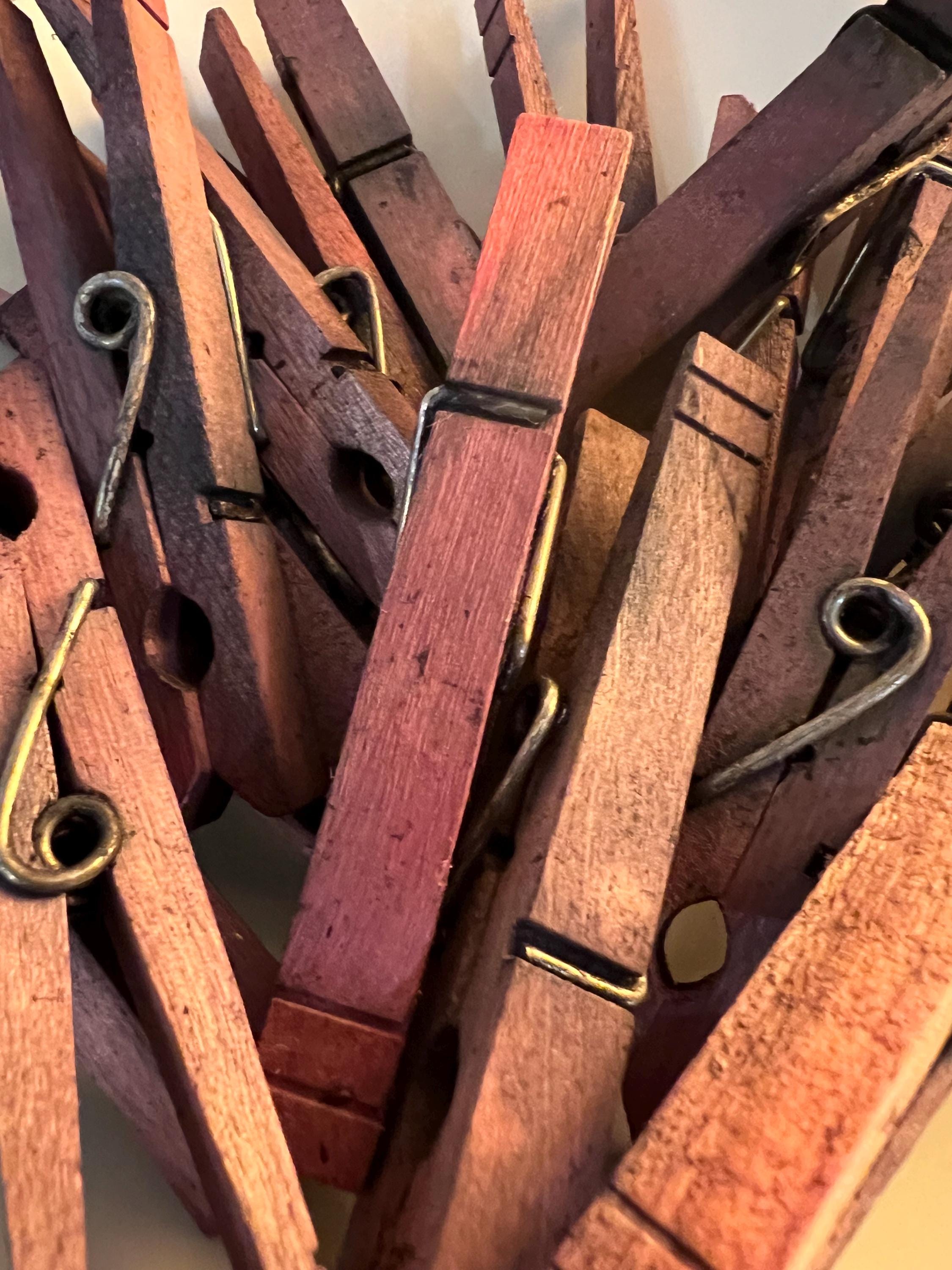 BlackBerry Stained Wood Clips, Herb Drying, Set of 10